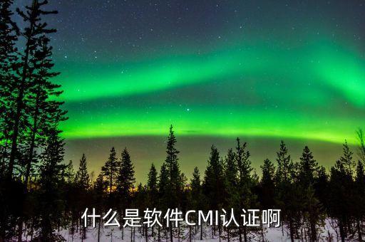 cmi，什么是軟件CMI認(rèn)證啊