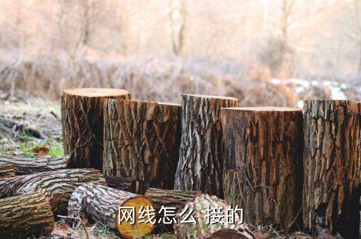 如何接網線，如何將路由器連接網線