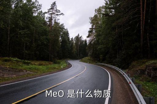 MEO，二次元meo是什么意思