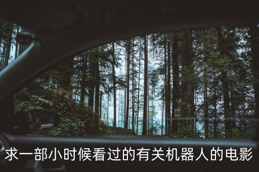 攻殼機(jī)動隊(duì)蜘蛛機(jī)器人,《攻殼機(jī)動隊(duì)》真人版如何評價?