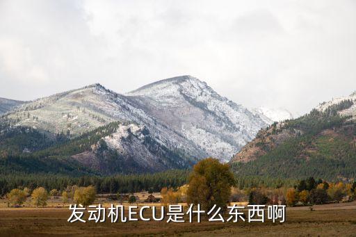 發(fā)動(dòng)機(jī)控制器，大眾高爾發(fā)動(dòng)機(jī)控制單元是什么