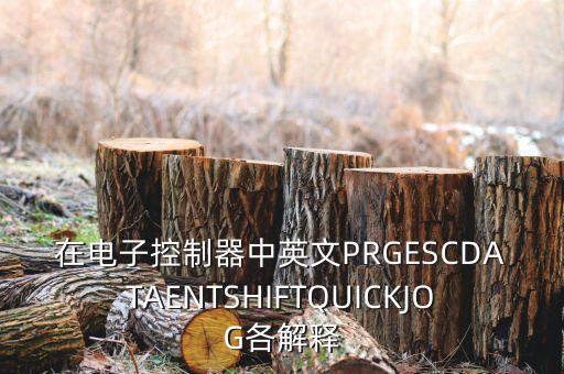 控制器英文，什么是AutoMation控制器名稱