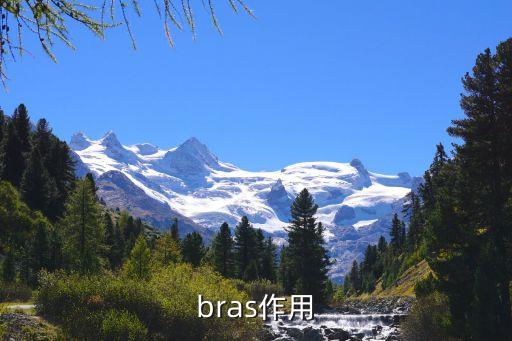 bras，BRAS服務(wù)是什么