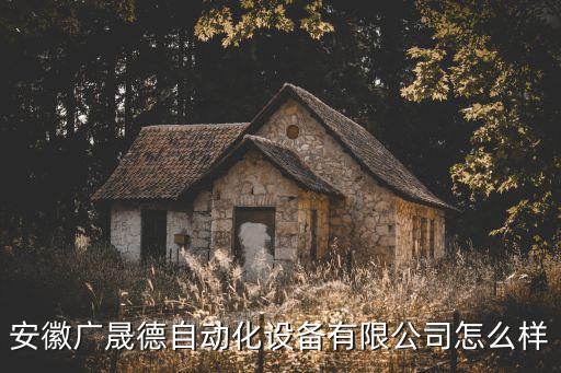 安徽廣晟德自動(dòng)化設(shè)備有限公司怎么樣