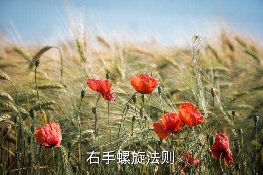 右手螺旋法則，什么是右手螺旋定則解釋清楚點(diǎn)