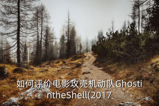 如何評價電影攻殼機動隊GhostintheShell(2017