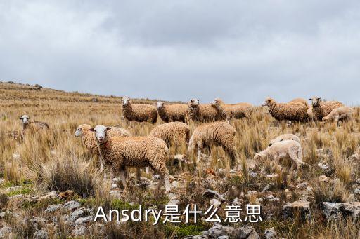 Ansdry是什么意思