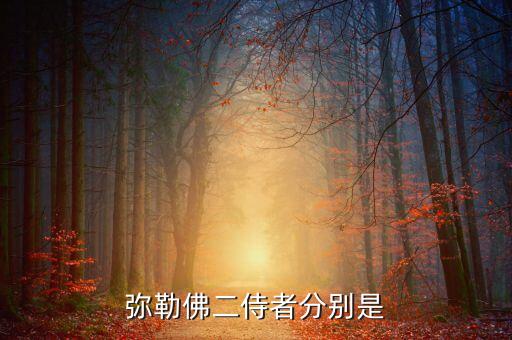 苑林，苑姓的孩子怎么提名是個男孩