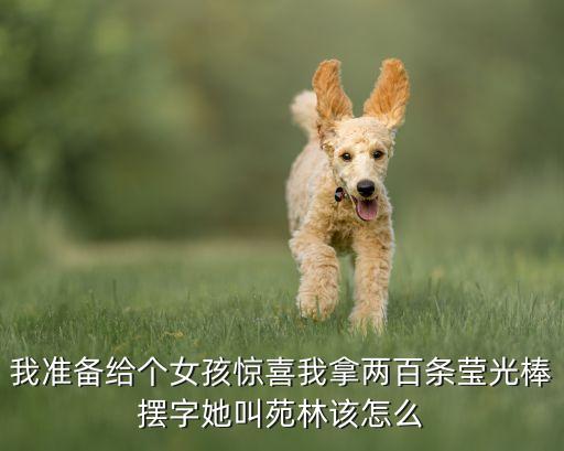 我準(zhǔn)備給個女孩驚喜我拿兩百條瑩光棒擺字她叫苑林該怎么