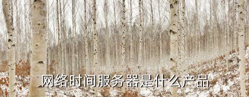 網(wǎng)絡(luò)時(shí)間服務(wù)器是什么產(chǎn)品