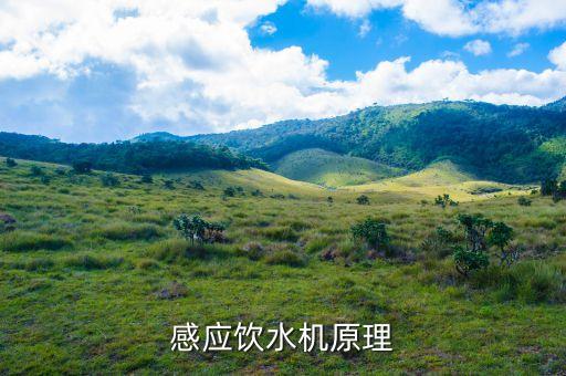 感應(yīng)飲水機(jī)原理