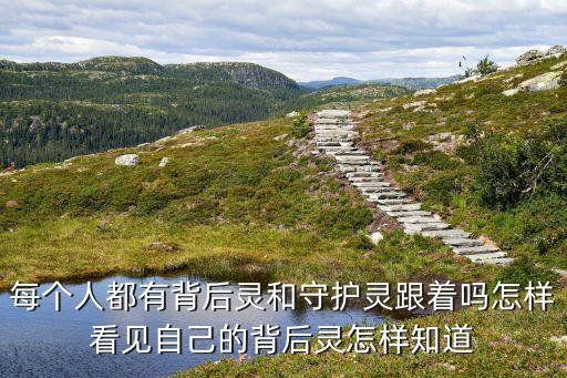 背后是誰，特警力量k2 的幕后老板是誰