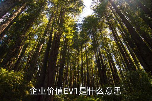 企業(yè)價值EV1是什么意思
