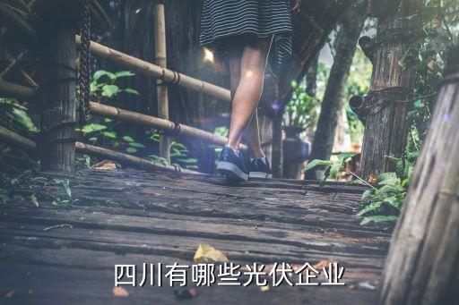 四川有哪些光伏企業(yè)