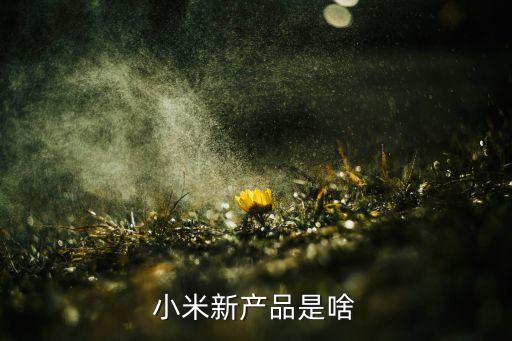 小米新品，小米新產(chǎn)品是啥
