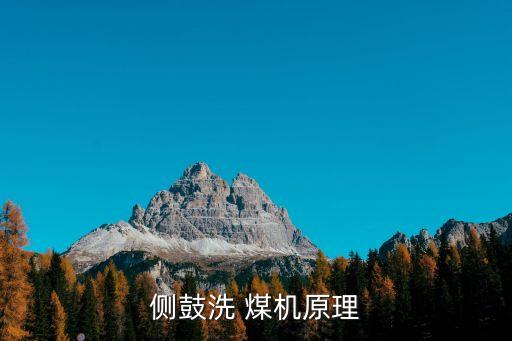 洗煤機自動化控制設(shè)備