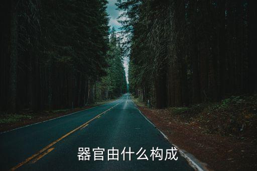 器是什么結(jié)構(gòu)，器字是什么結(jié)構(gòu)