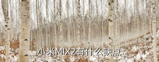 mix2，小米MIX2有什么缺點(diǎn)