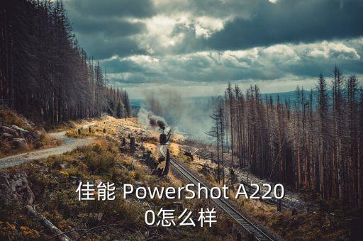 佳能 PowerShot A2200怎么樣