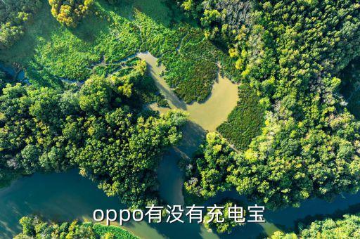 oppo有沒有充電寶