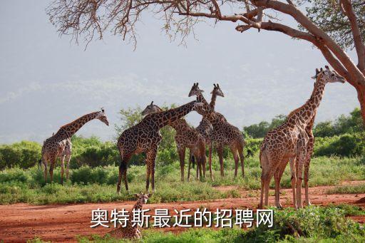 特斯拉招聘官網(wǎng)，新路程人才招聘網(wǎng)