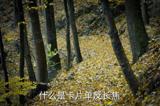 卡片相機(jī)，推薦幾款卡片相機(jī)要拍照質(zhì)量好的高分