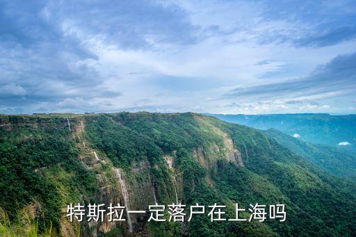 上海特斯拉，特斯拉一定落戶在上海嗎