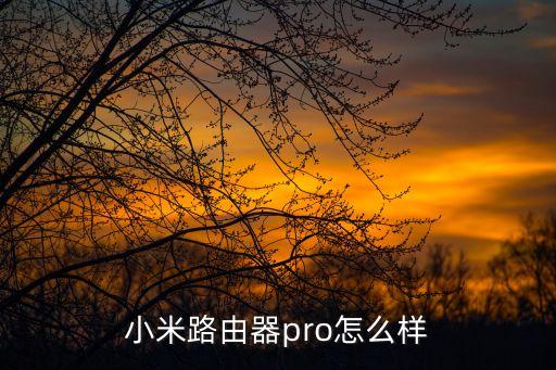小米路由器pro，小米路由器pro怎么樣