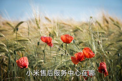 小米服務(wù)網(wǎng)點(diǎn)，小米售后服務(wù)中心在哪