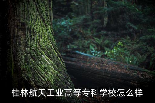 桂林航天工業(yè)高等專科學(xué)校怎么樣