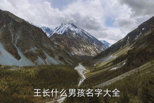 王長志，王長什么男孩名字大全