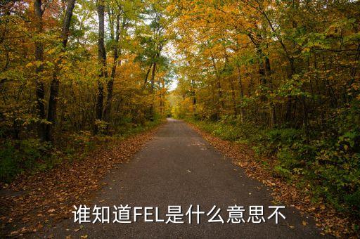 fel，誰知道FEL是什么意思不