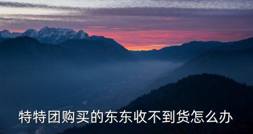 特特團(tuán)，特特團(tuán)購(gòu)買的東東如何查看訂單啊
