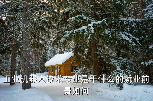 工業(yè)機(jī)器人技術(shù)專業(yè)是干什么的就業(yè)前景如何