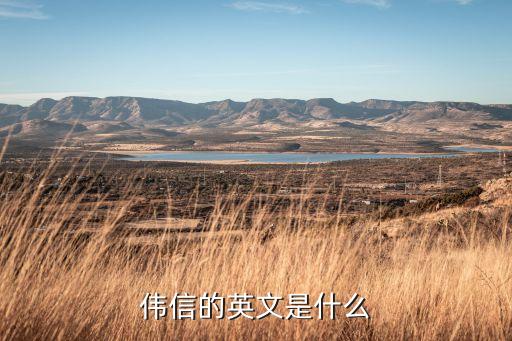 willson，偉信的英文是什么