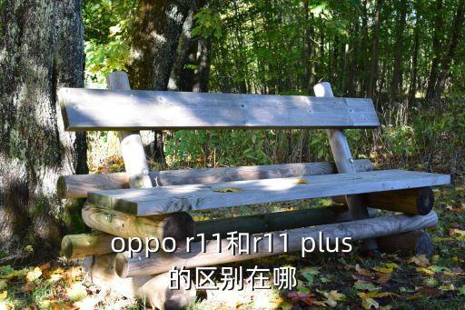 r11plus，OPPO R11 Plus功能介紹