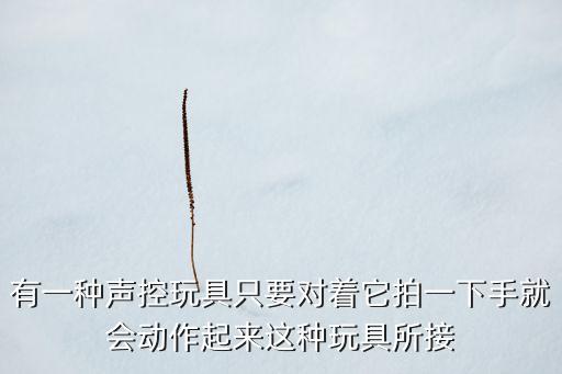 聲控玩具，有一種聲控玩具只要對(duì)它拍一下手它就會(huì)動(dòng)起來(lái)這種玩具的工作是