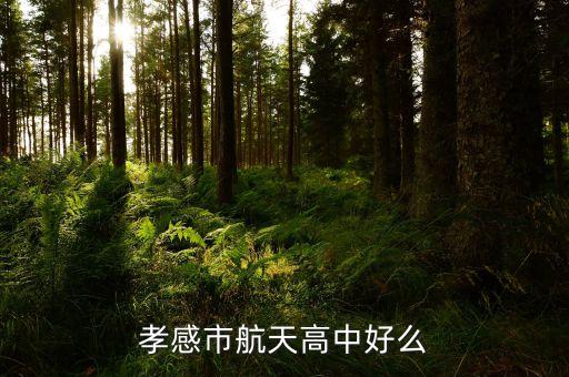 航高，桂林航天工業(yè)高等?？茖W校到底怎么樣啊