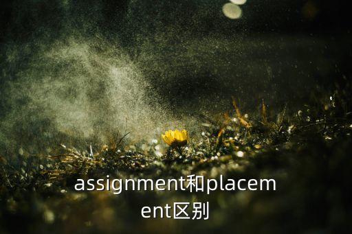 placement，assignment和placement區(qū)別