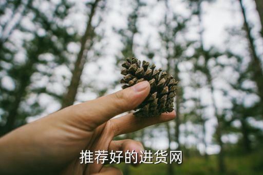 搜貨網(wǎng)，推薦好的進(jìn)貨網(wǎng)