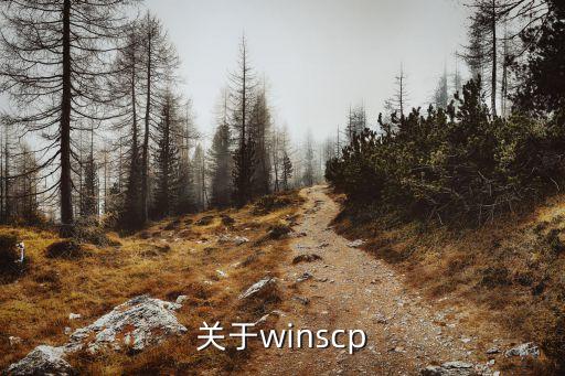 關(guān)于winscp