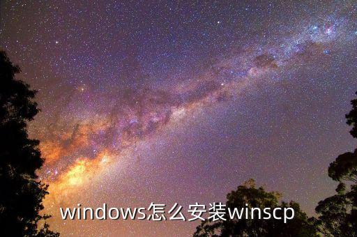 winscp，winscp什么作用的