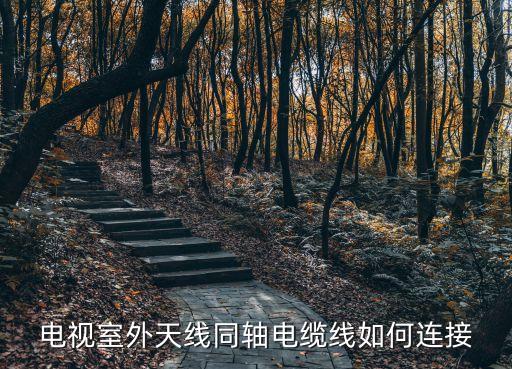 電視天線，請問下連接電視的網(wǎng)絡天線是什么