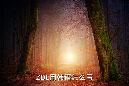 zdl，ZDL用韓語怎么寫