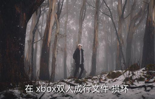 在 xbox雙人成行文件 損壞