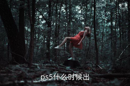 ps5發(fā)售時間，playstation 5什么時候出