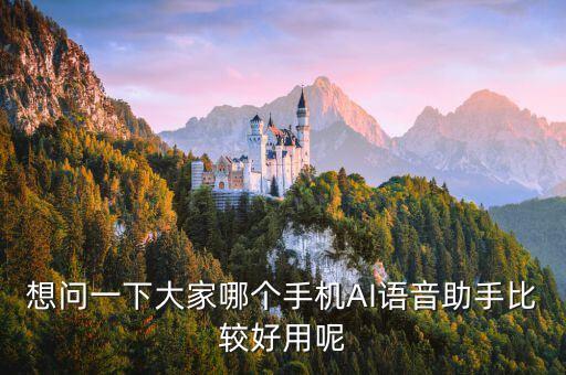 智能語音助手，哪位有可靠的智能語音助手推薦一下