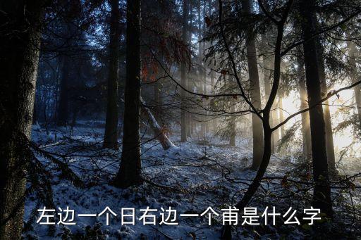 aijb，左邊一個日右邊一個甫是什么字
