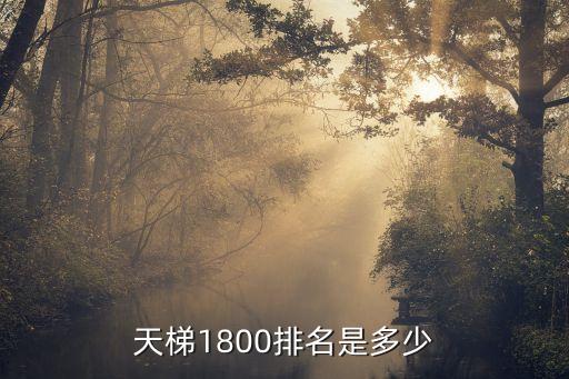 天梯排行榜，11天梯排行第一的是誰