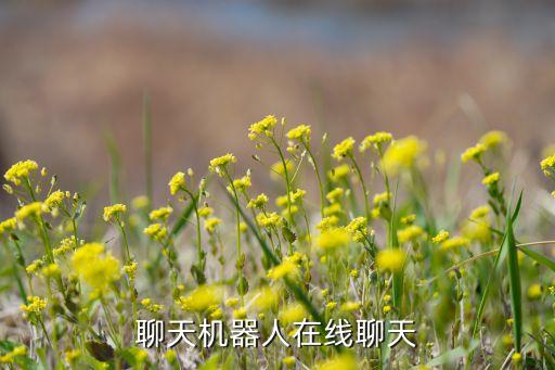 阿里云機器人使用流程,阿里巴巴物流機器人怎么用?